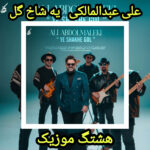 دانلود آهنگ علی عبدالمالکی یه شاخه گل