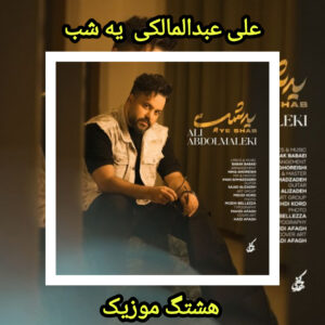 دانلود آهنگ علی عبدالمالکی یه شب