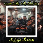 دانلود آهنگ رضا ملک زاده یادت هست