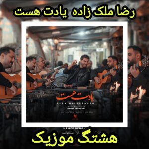 دانلود آهنگ رضا ملک زاده یادت هست